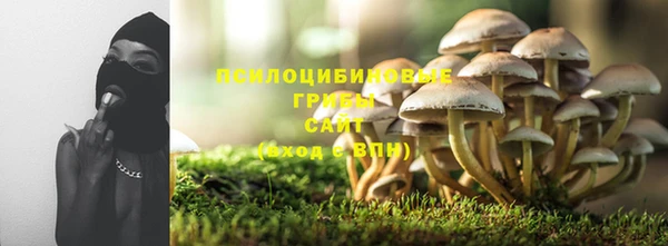 винт Верея