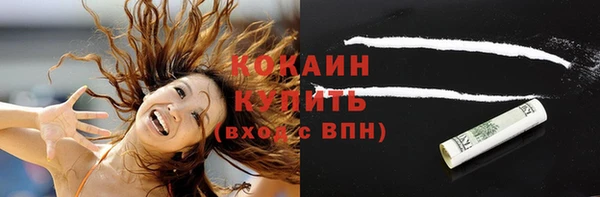 винт Верея